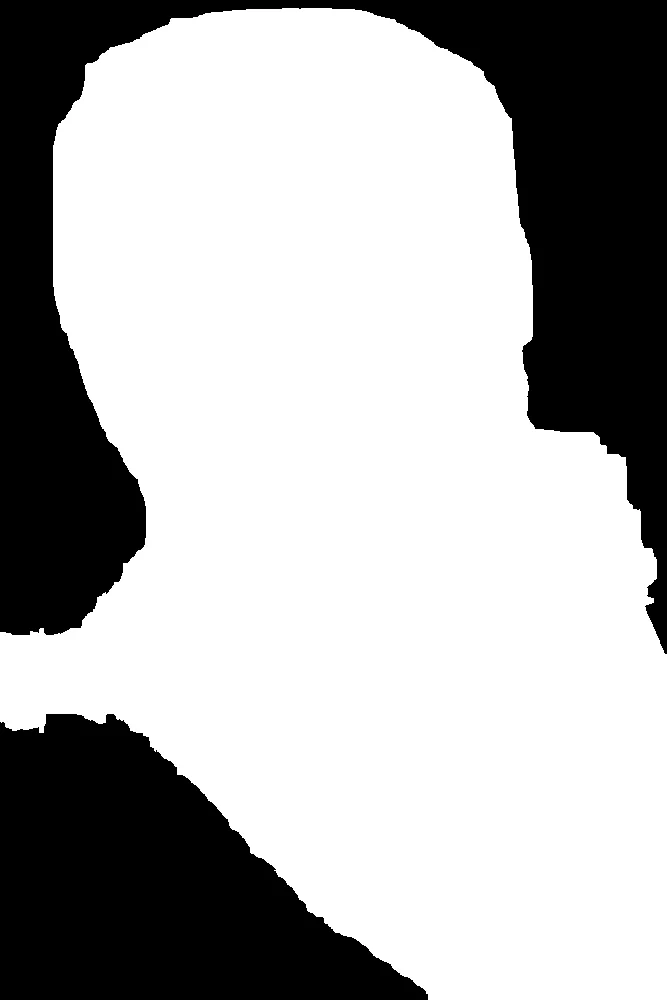 Segment Image Using Focus Region 1