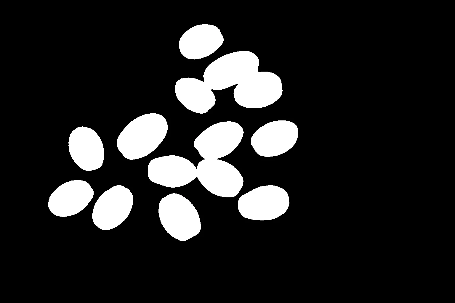 Segment Image Using Foreground BiRefNet 1