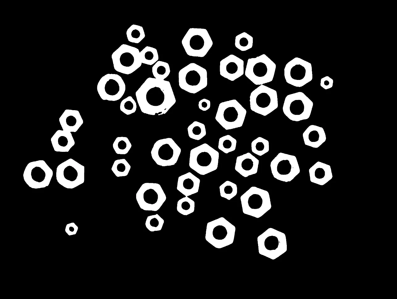 Input image